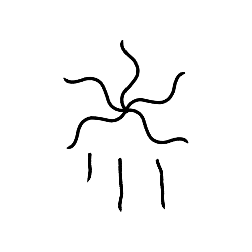 An image of five wavy lines spreading out from a single point, with three more jagged lines underneath them like dripping blood